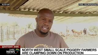 Small scale piggery farmers in North West clamp down on production