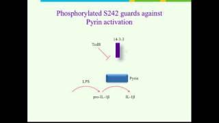 Liston Immune System Liston 2016 Session8