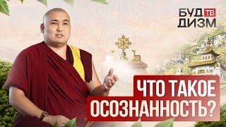 Выпуск 16 — Что такое осознанность?