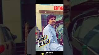 Great Vibes by Wasif Hashmi ||