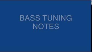 BASS TUNING NOTES - FAST TUNER - 4 STRING (E A D G) - ACCORDATORE BASSO