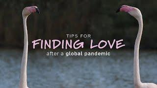 Top 10 Tips for Finding Love (after a global pandemic).