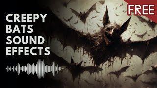 Creepy Bats Sound Effects | Copyright Free