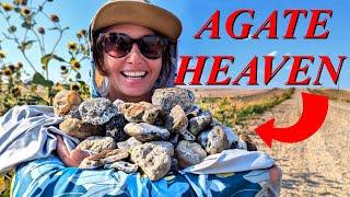 Agates EVERYWHERE! Finding Heaps of Gorgeous Montana Agates Scattered Through the Hills!