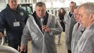 «Умная» молочная ферма в с. Шеино