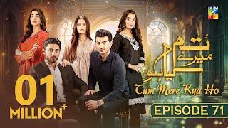 Tum Mere Kya Ho - Episode 71 - 4th July 2024  [ Adnan Raza Mir & Ameema Saleem ] - HUM TV