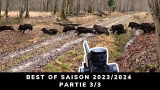 BEST OF 2023/2024 - HUNTING FOR RED DEER, WILD BOARS, ROE DEERS AND SMALL GAME - 3/3