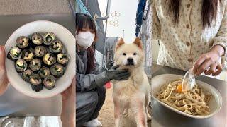 Volunteering for abandoned dogs, shopping at Dongdaemun Market, making zucchini pizza, and...