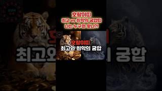 호랑이띠 최고 vs 최악의 궁합은? #shorts