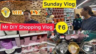 ₹6 में क्या लिया ? Mr DIY Eva Mall Vadodara | Sunday Family Vlog