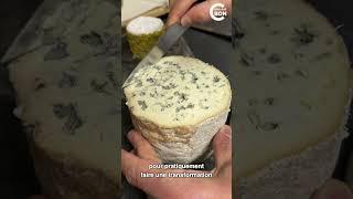 Les fromages uniques d'Alléosse