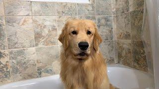 LIVE Tucker Takes a Bath