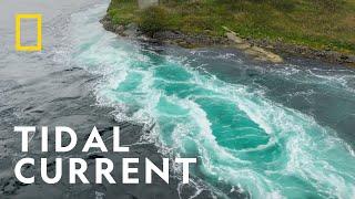 Saltstraumen, the World's Strongest Tidal Current | Europe From Above | National Geographic UK