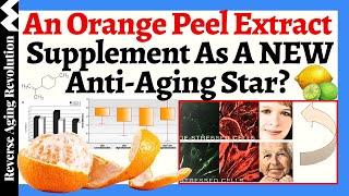 An Orange Peel Extract As a NEW Anti-Aging Star? Reverses Senescence, Rejuvenates Skin & MORE!