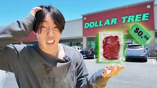 I ONLY Ate Dollar Store Foods for 24Hrs!