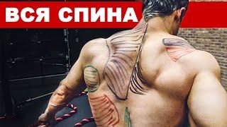 Лучшее Видео о Тренировке Спины (Проработай Все Мышцы) | Джефф Кавальер