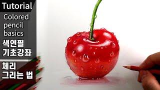 How to draw pretty cherry / How to use colored pencils / Colored pencil drawings / Plant art