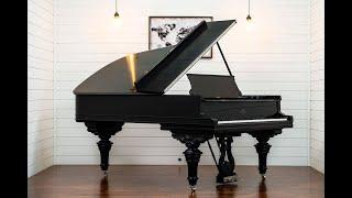 Steinway B Artcase.