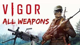 "Vigor" All the weapons you need to know / Shooting range test