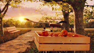 Sunset Apple Picking In The Countryside Ambience ASMR  Summer Birds, Bike Sounds, Leaf Rustling