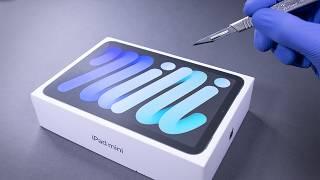 iPad mini 2024 (A17 Pro Chip) Unboxing - ASMR