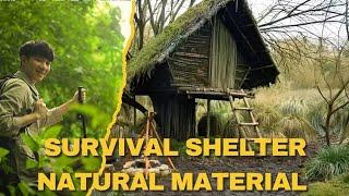 Build Survival Shelter From Scratch: Natural Materials Only