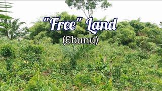 How To Acquire "Free" Land For Farming In Ghana | Frenat Farms