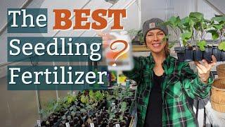 What is the Best Fertilizer for Seedlings?