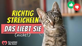 3 Streicheleinheiten, die jede Katze liebt (und 5, die sie hasst!) 