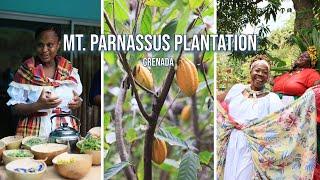 Mt. Parnassus Plantation, Grenada | Tour with tea, local stew, and music