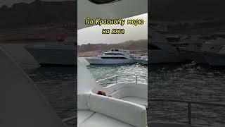 Что мы делаем на йога ретрите на Красном море? Начать лето в апреле с Yantra.lv