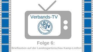 Verbands TV Folge 6 Brieftauben auf der Landesgartenschau Kamp Lintfort