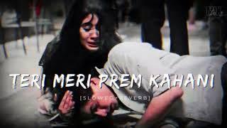 Teri Meri Prem Kahani | [Slowed+Reverb] | MixLofiMusic.06|@tseries  @IndianSlowedAndReverb