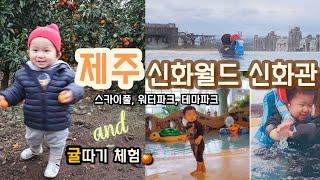 아기랑 제주신화월드 호캉스 ️ | 내돈내산 제주신화월드 200프로 즐기는방법 | 아기랑 제주여행 코스 | 제주감귤따기 체험 | 제주오션뷰카페 인생샷 | 일주일 제주살이하게된 사연