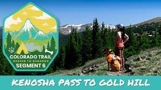 Solo Hiking the COLORADO TRAIL with My Dog | Segment 6: Kenosha Pass to Gold Hill