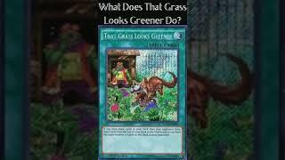 What Does That Grass Looks Greener Do? (Yugioh Cards Explained for Easy Deck Building)