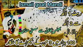 Ismail goat Mandi Karachi Cattle Rates Update || 21 may 2025  || Cow Mandi 2025