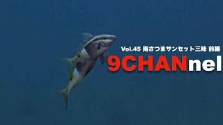 9CHANnel #045 南さつまの海で魚の生態行動を激写！ ダイビングショップSB 前編【スキューバダイビング番組】