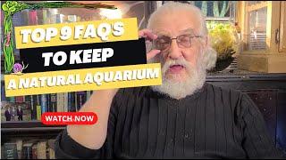 TOP 9 QUESTIONS FOR A NATURAL AQUARIUM