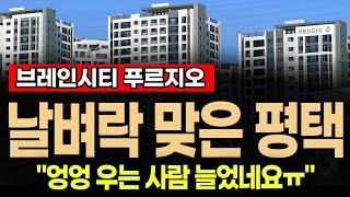 평택 브레인시티 푸르지오 "살벌한 부동산 분위기..."