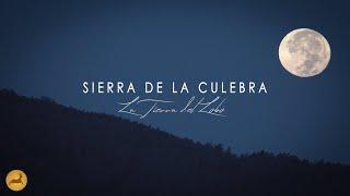 𝗕𝗘𝗥𝗥𝗘𝗔 en la Sierra de la Culebra 𝗭𝗔𝗠𝗢𝗥𝗔 - La Tierra del 𝗟𝗢𝗕𝗢 por Cinegetics