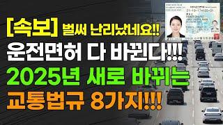 [속보] 운전면허 다 바뀐다!!! 2025년 새로 바뀌는 교통 법규 8가지!!!