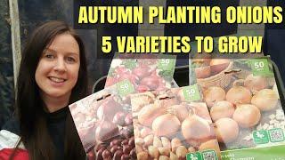 Autumn Planting Onion Sets | 5 Varieties For The Allotment Garden