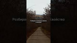 Зеркало - портал в другие миры?