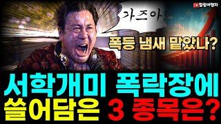 (힐링여행자 투자 이야기) 폭등 냄새 맡았나? 서학개미 8월 미국 폭락장에 제대로 리벨런싱 한 종목은? 반등을 노린 폭풍 매수 종목