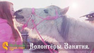 Волонтёры. Занятия. Конный клуб "Фаворит"
