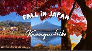 A Perfect Japanese Autumn Getaway | Peak at Fuji Kawaguchiko