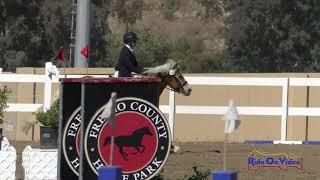 196S Kiren Niederberger on The Swiss Miss SR Beginner Novice Show Jumping FCHP Oct. 2019