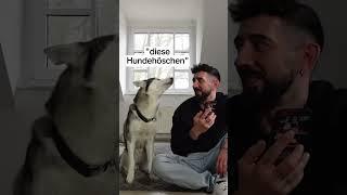 7 Jahre Pech, wenn du jetzt nicht folgst.. hat mein Hund gesagt…