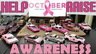 Pink Car Extravaganza !!! Helping Raise Awareness for Breast Cancer at Ron's Muscle Car Die-cast